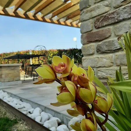 Casalfarano Alloggio per agriturismo
