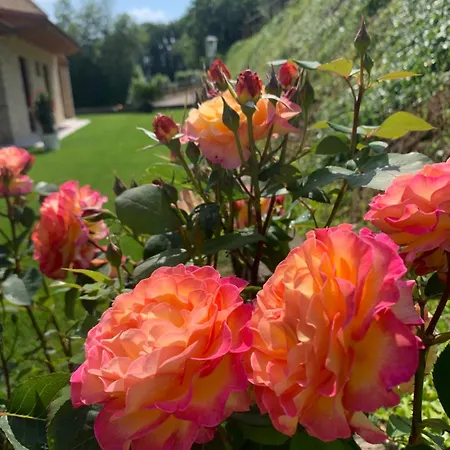 Alloggio per agriturismo Casalfarano *