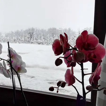 Casalfarano Vakantieboerderij