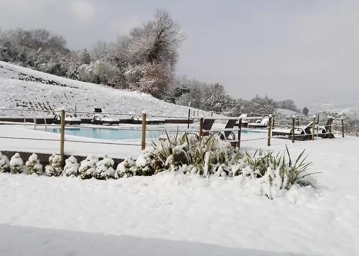 Farm stay Casalfarano *